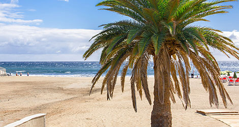 San Agustin, Gran Canaria kartta - Kartta kohteesta San Agustin, Gran  Canaria | Aurinkomatkat